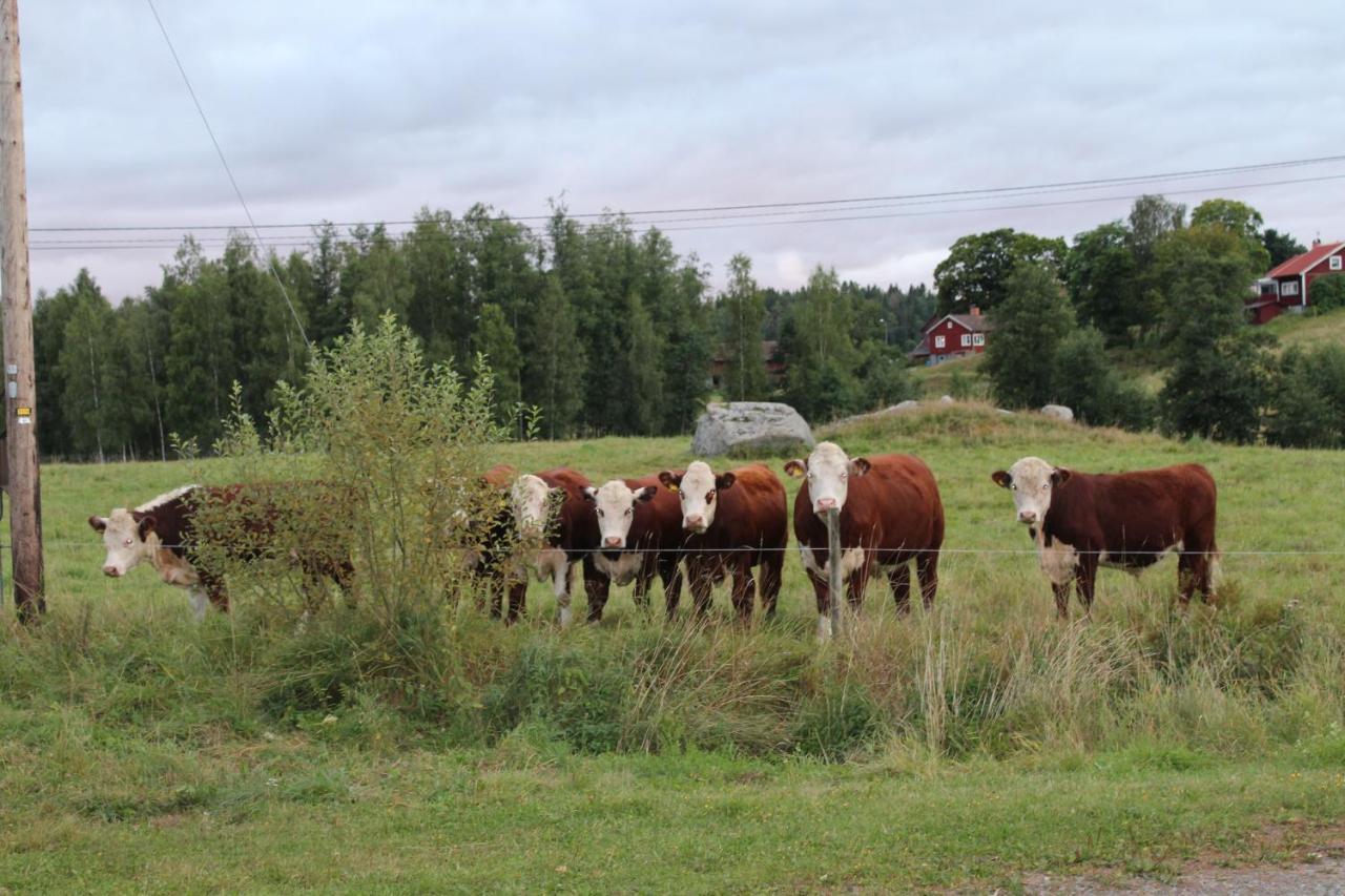 Boende Naera Romme Alpin Och Andra Friluftsaktiviteter I Dalarna Smedjebacken Exterior photo