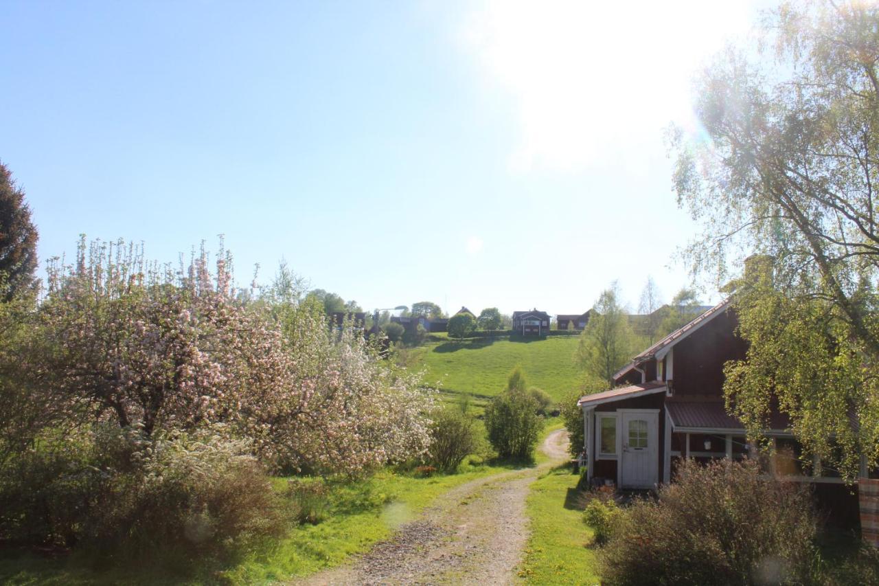 Boende Naera Romme Alpin Och Andra Friluftsaktiviteter I Dalarna Smedjebacken Exterior photo